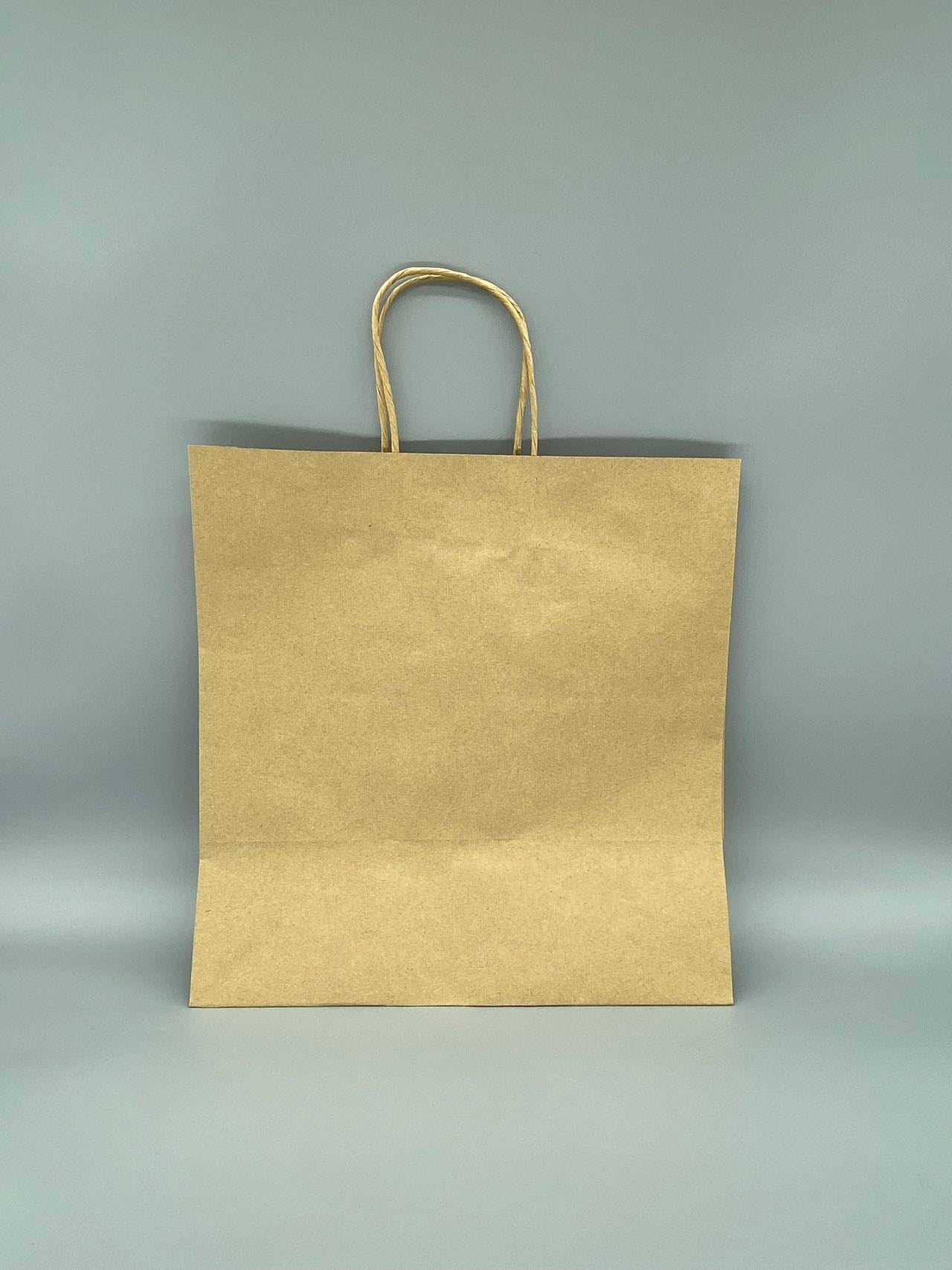 Large Kraft Paper Bag