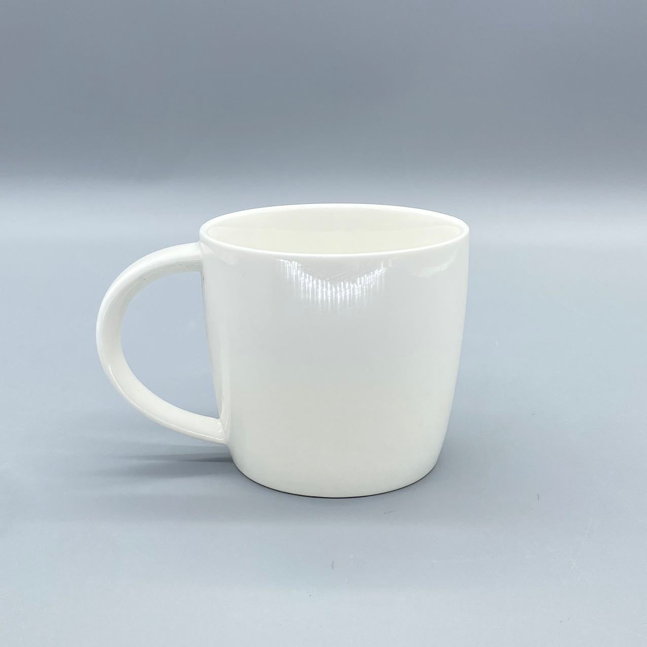 Premium Coffee Mug (Medium)